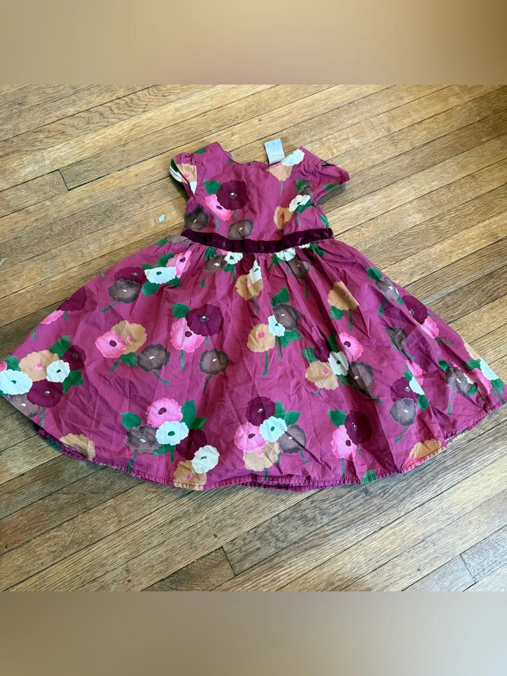 Baby Gap Vintage Baby Girl Floral Dress - Size 18-24 Months